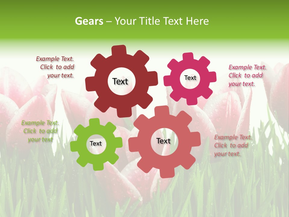 Water Raindrop Drop PowerPoint Template