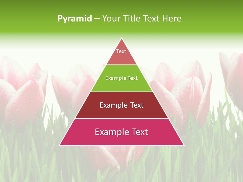 Water Raindrop Drop PowerPoint Template