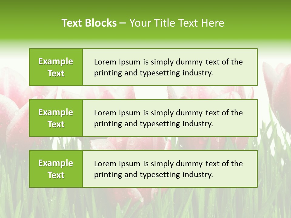 Water Raindrop Drop PowerPoint Template