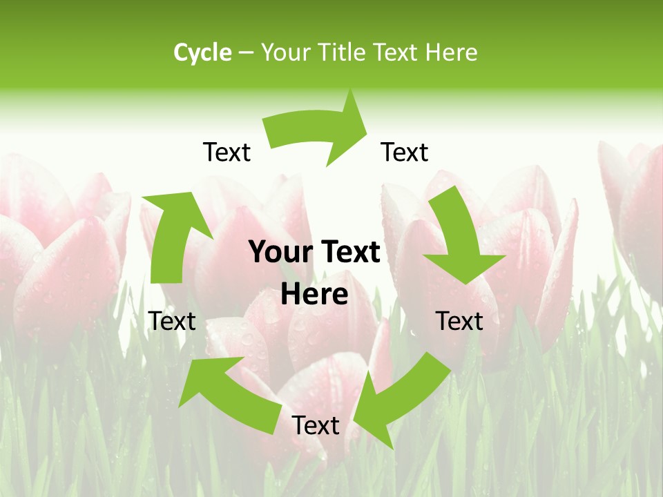 Water Raindrop Drop PowerPoint Template