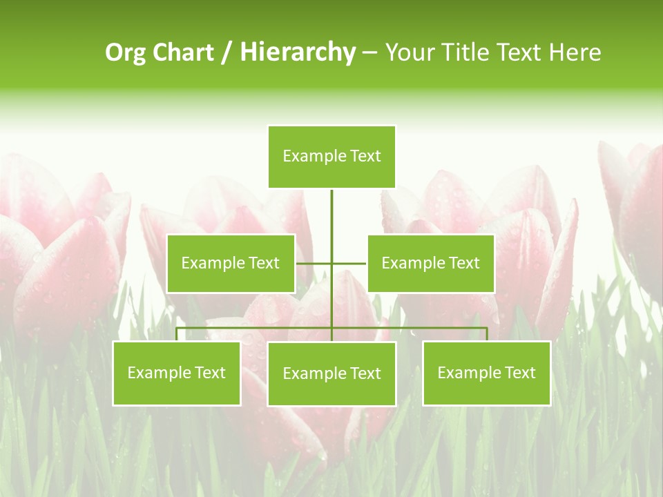 Water Raindrop Drop PowerPoint Template