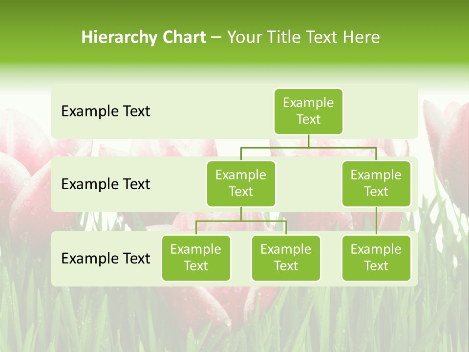 Water Raindrop Drop PowerPoint Template
