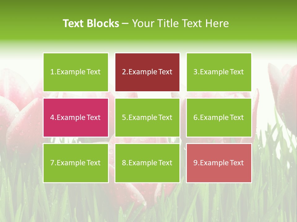 Water Raindrop Drop PowerPoint Template