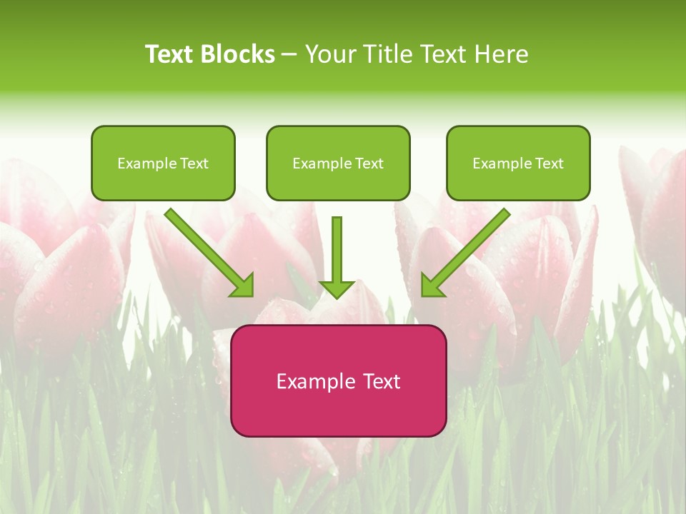 Water Raindrop Drop PowerPoint Template
