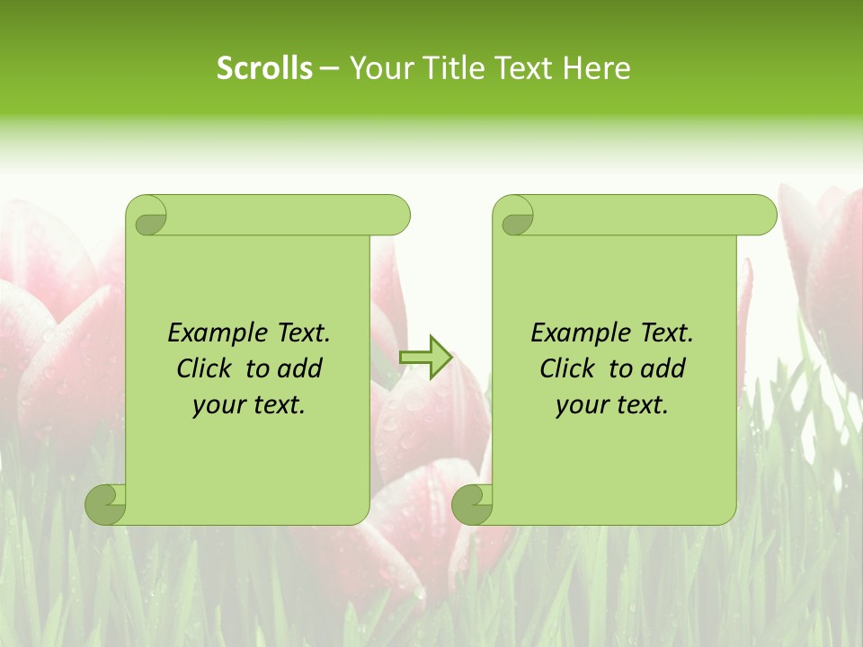 Water Raindrop Drop PowerPoint Template