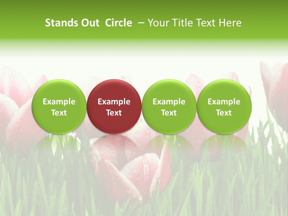 Water Raindrop Drop PowerPoint Template