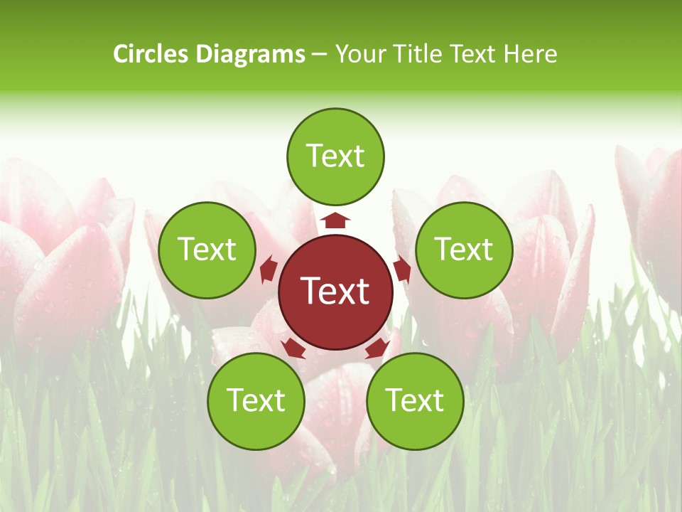 Water Raindrop Drop PowerPoint Template