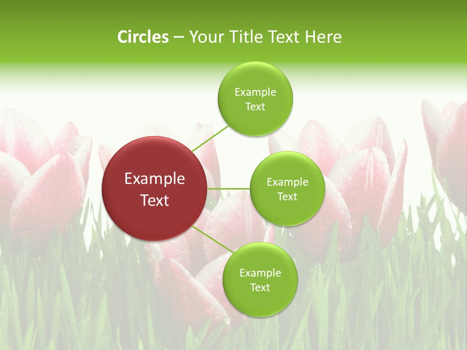 Water Raindrop Drop PowerPoint Template