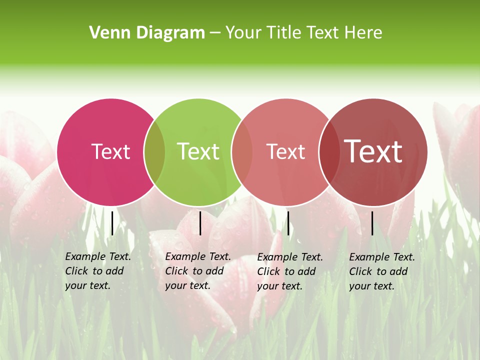 Water Raindrop Drop PowerPoint Template