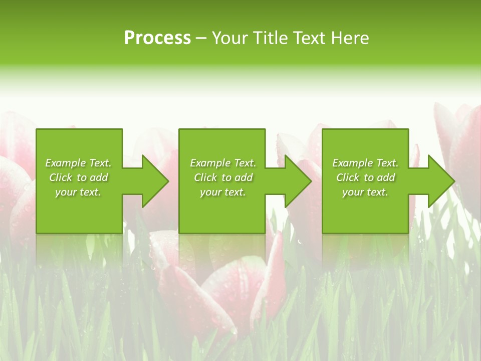 Water Raindrop Drop PowerPoint Template