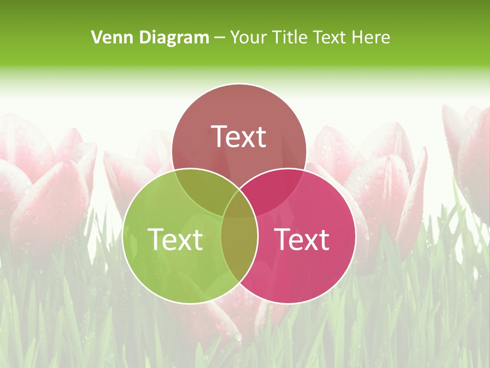 Water Raindrop Drop PowerPoint Template