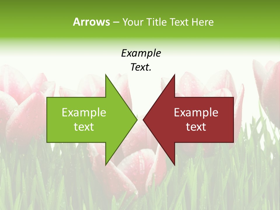 Water Raindrop Drop PowerPoint Template