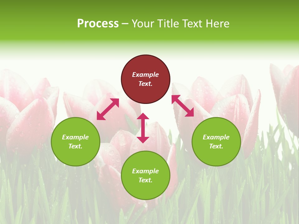 Water Raindrop Drop PowerPoint Template