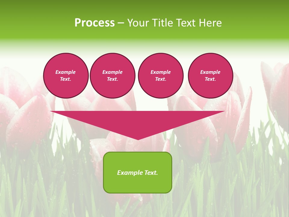 Water Raindrop Drop PowerPoint Template