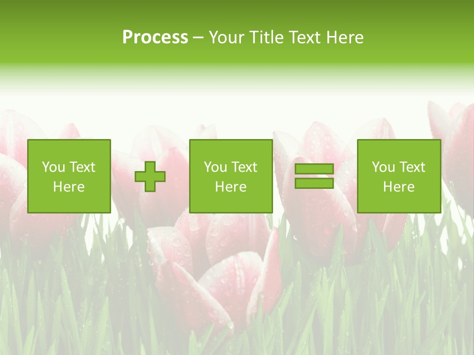 Water Raindrop Drop PowerPoint Template