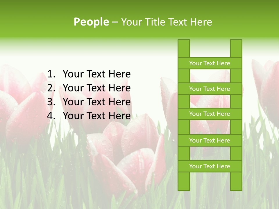 Water Raindrop Drop PowerPoint Template