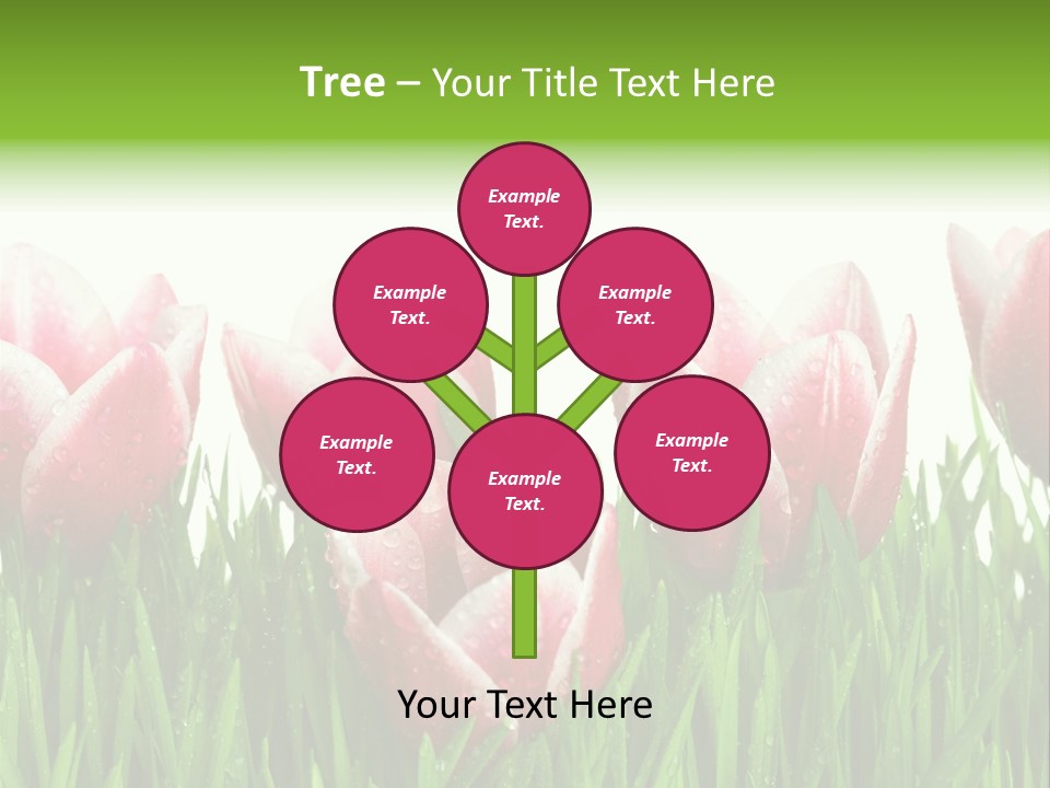 Water Raindrop Drop PowerPoint Template