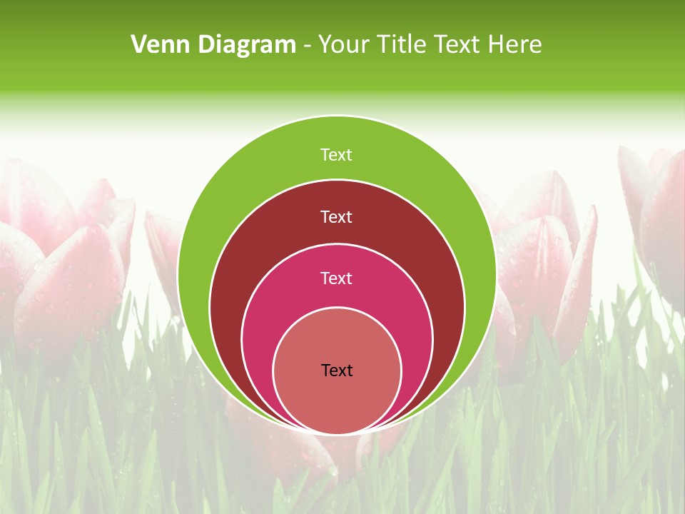 Water Raindrop Drop PowerPoint Template