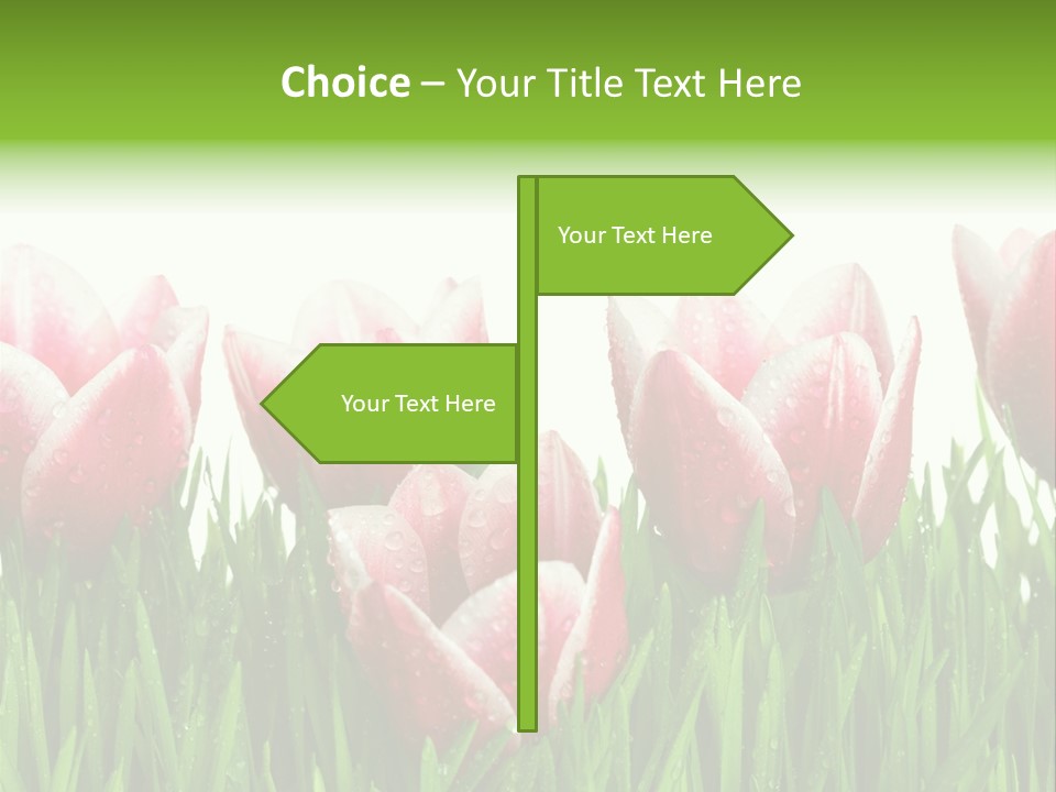 Water Raindrop Drop PowerPoint Template