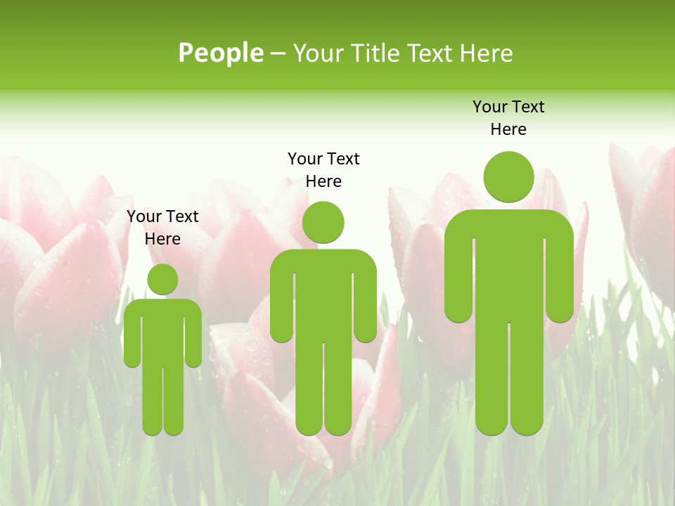 Water Raindrop Drop PowerPoint Template