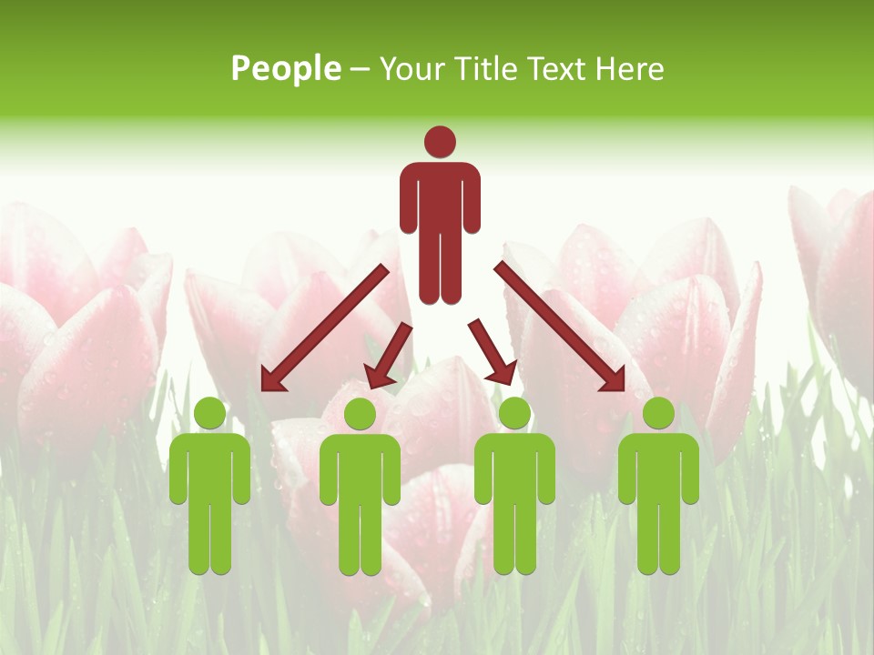 Water Raindrop Drop PowerPoint Template