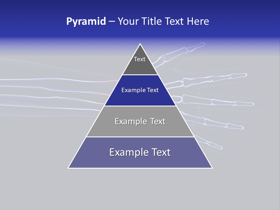 Medical Skeleton Pain PowerPoint Template