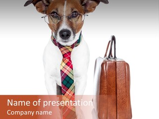 Professional Spectacle Suitcase PowerPoint Template