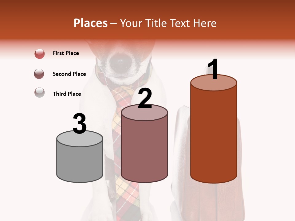 Professional Spectacle Suitcase PowerPoint Template