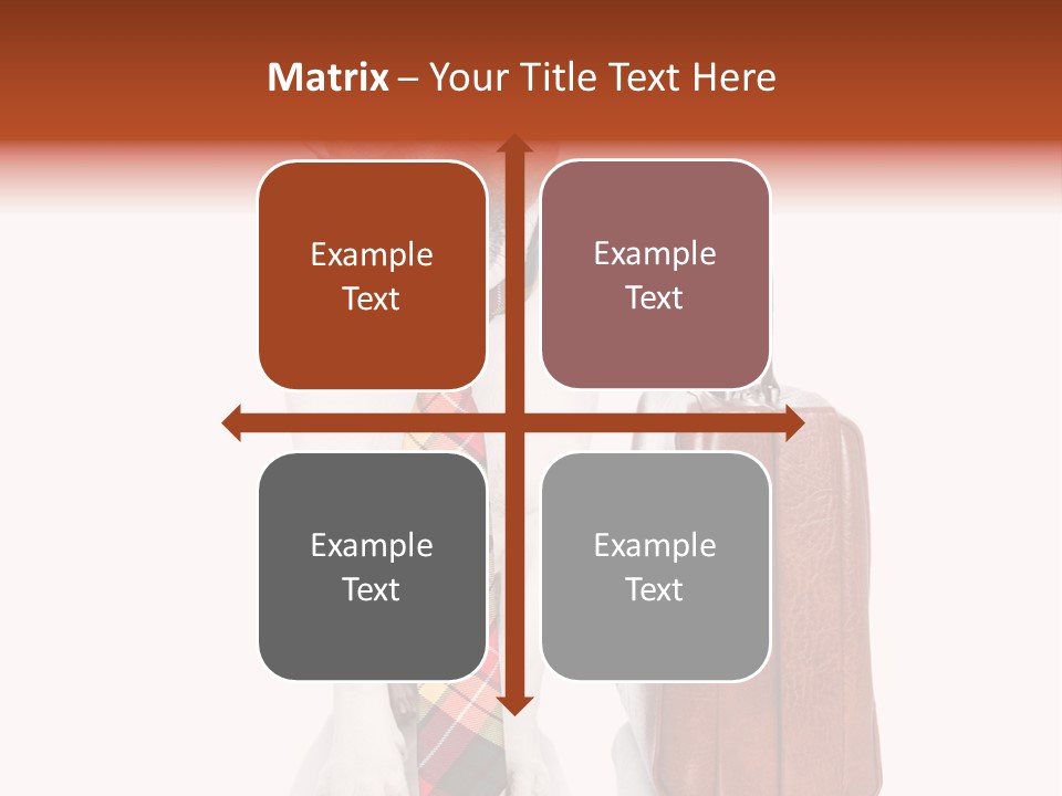 Professional Spectacle Suitcase PowerPoint Template