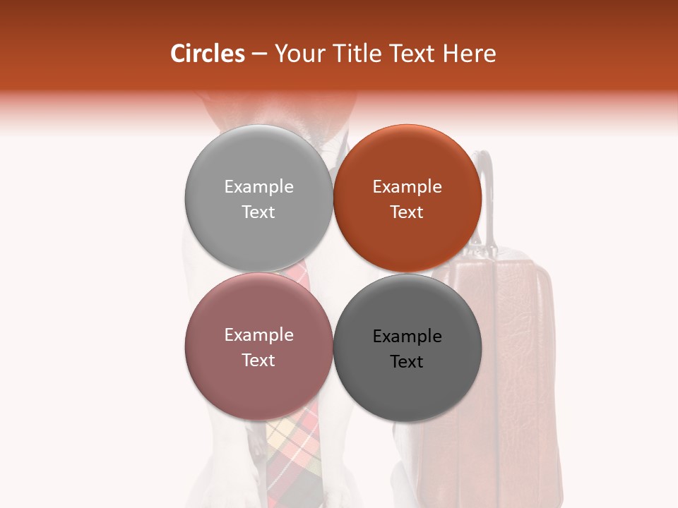 Professional Spectacle Suitcase PowerPoint Template