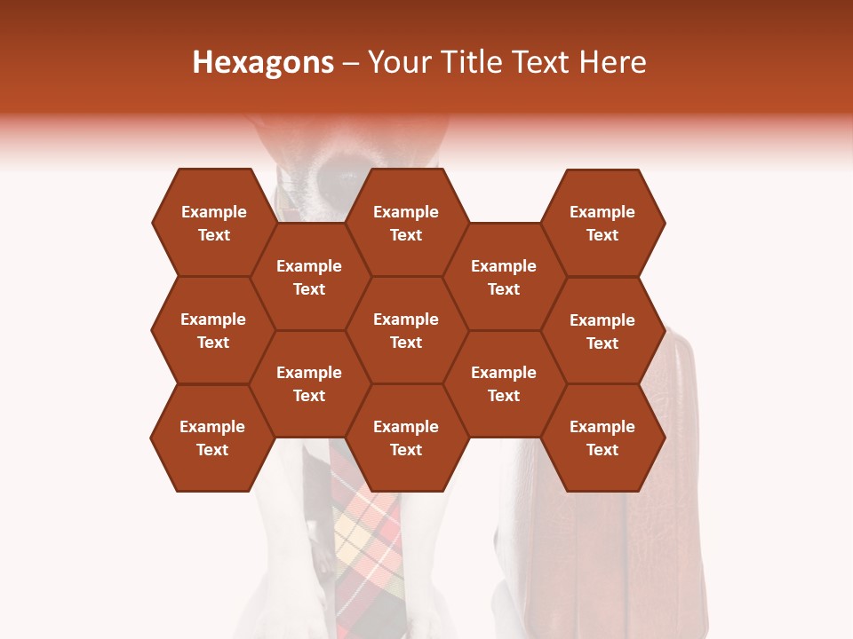 Professional Spectacle Suitcase PowerPoint Template