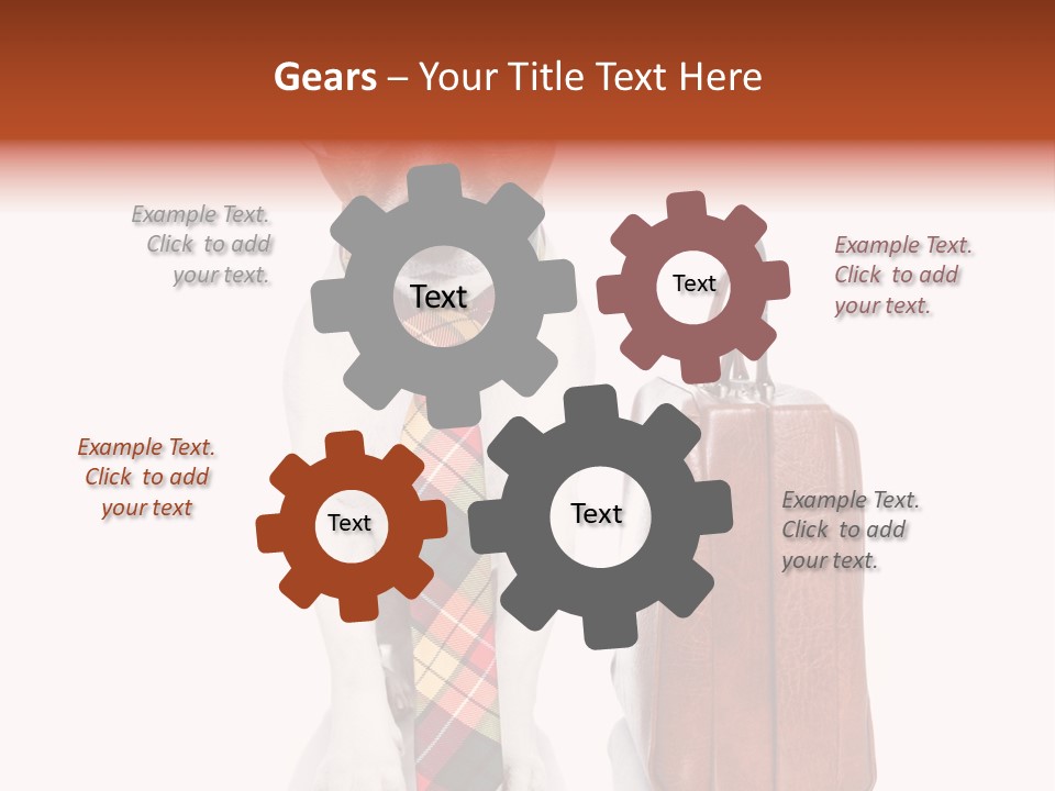 Professional Spectacle Suitcase PowerPoint Template