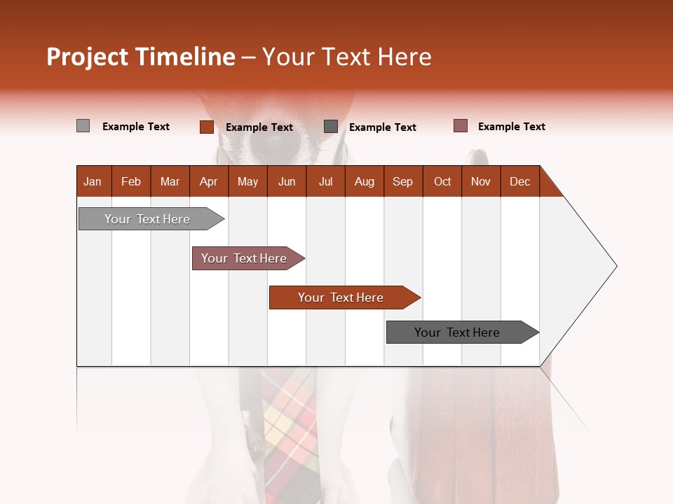Professional Spectacle Suitcase PowerPoint Template