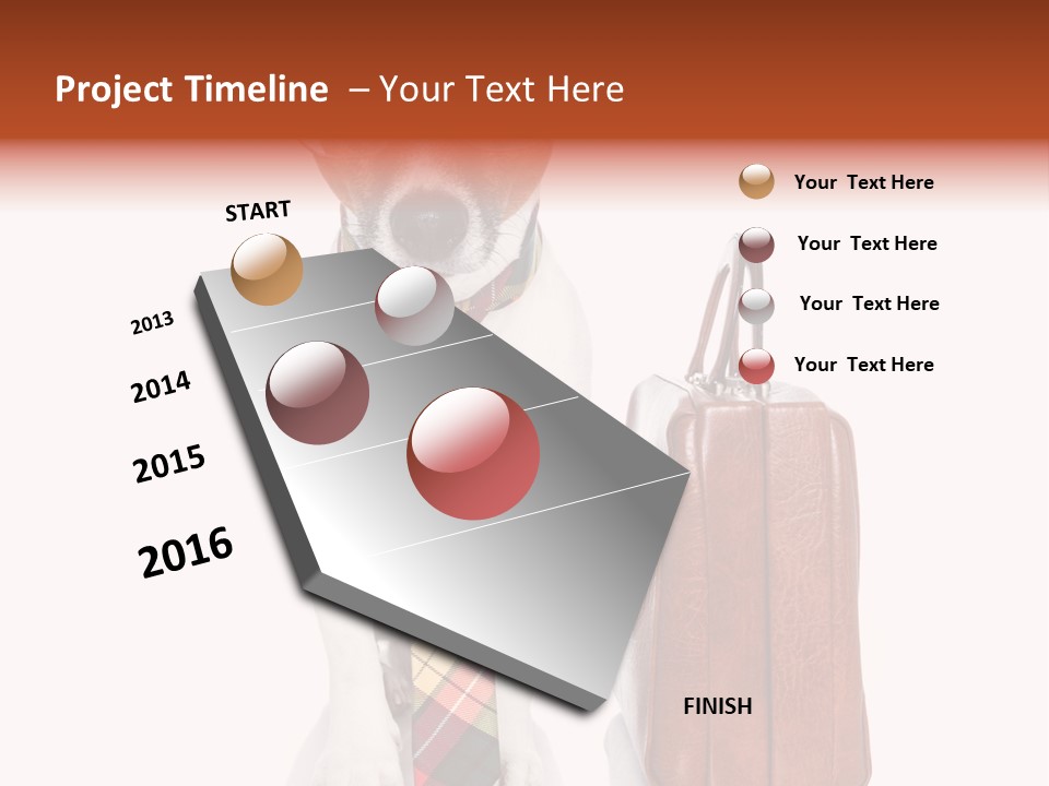 Professional Spectacle Suitcase PowerPoint Template