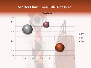 Professional Spectacle Suitcase PowerPoint Template