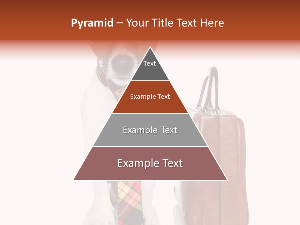 Professional Spectacle Suitcase PowerPoint Template