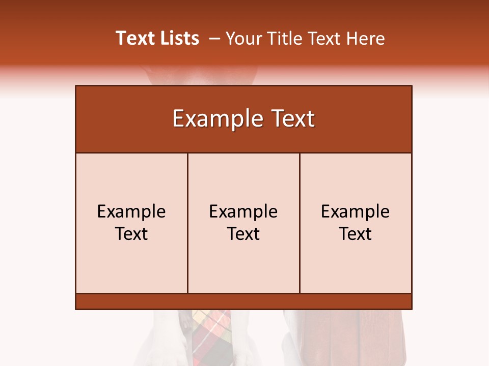 Professional Spectacle Suitcase PowerPoint Template