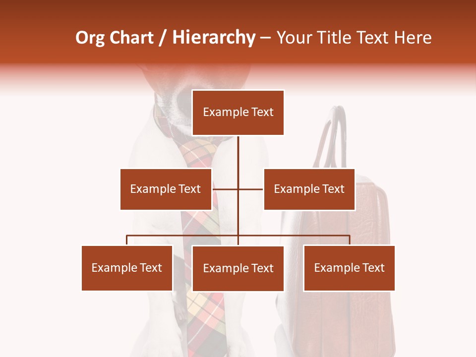 Professional Spectacle Suitcase PowerPoint Template