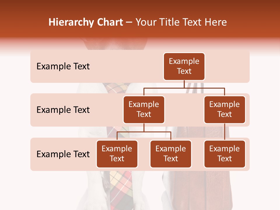 Professional Spectacle Suitcase PowerPoint Template