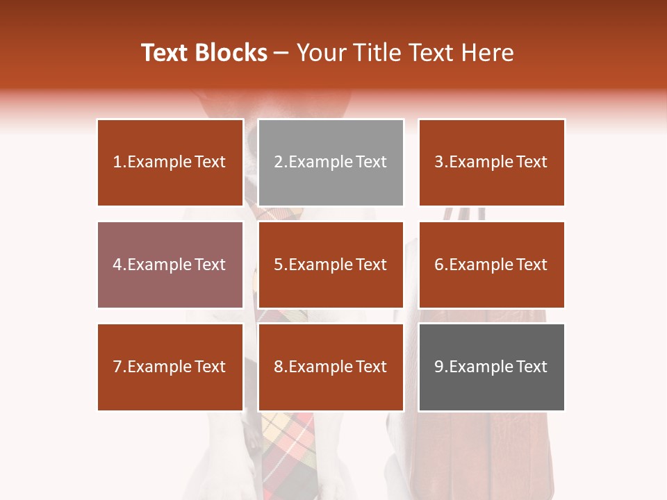 Professional Spectacle Suitcase PowerPoint Template