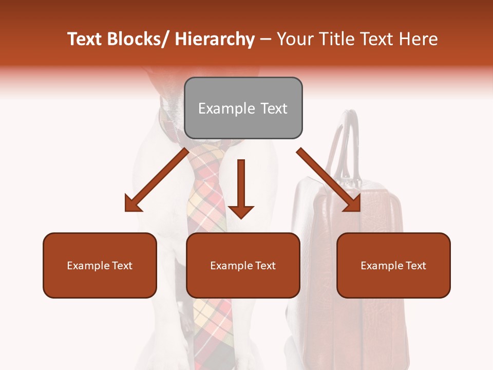 Professional Spectacle Suitcase PowerPoint Template