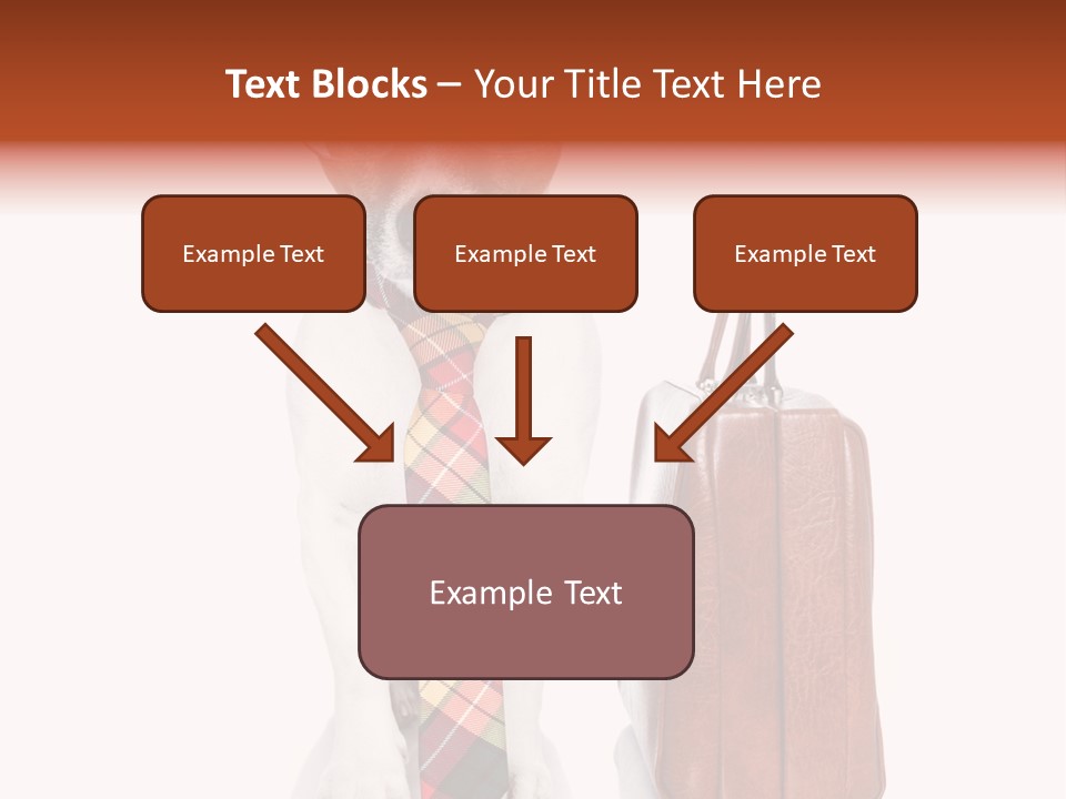 Professional Spectacle Suitcase PowerPoint Template
