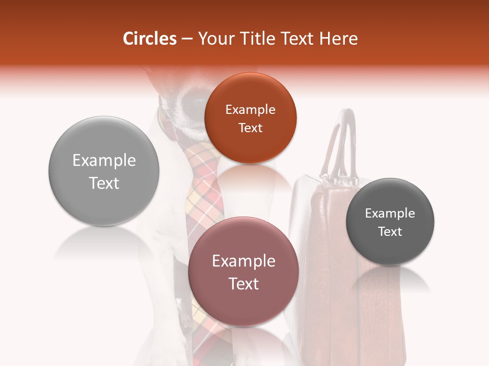Professional Spectacle Suitcase PowerPoint Template