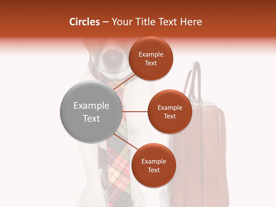 Professional Spectacle Suitcase PowerPoint Template