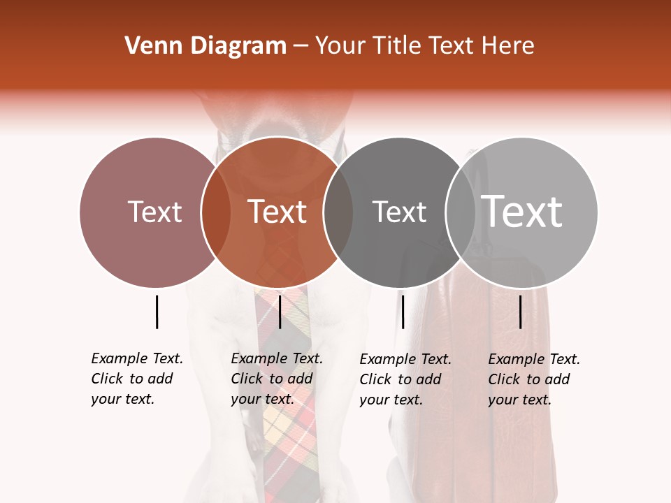 Professional Spectacle Suitcase PowerPoint Template