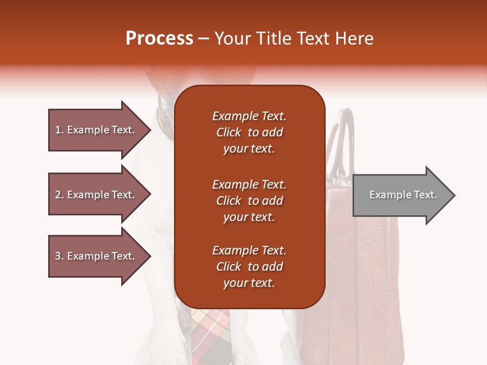 Professional Spectacle Suitcase PowerPoint Template