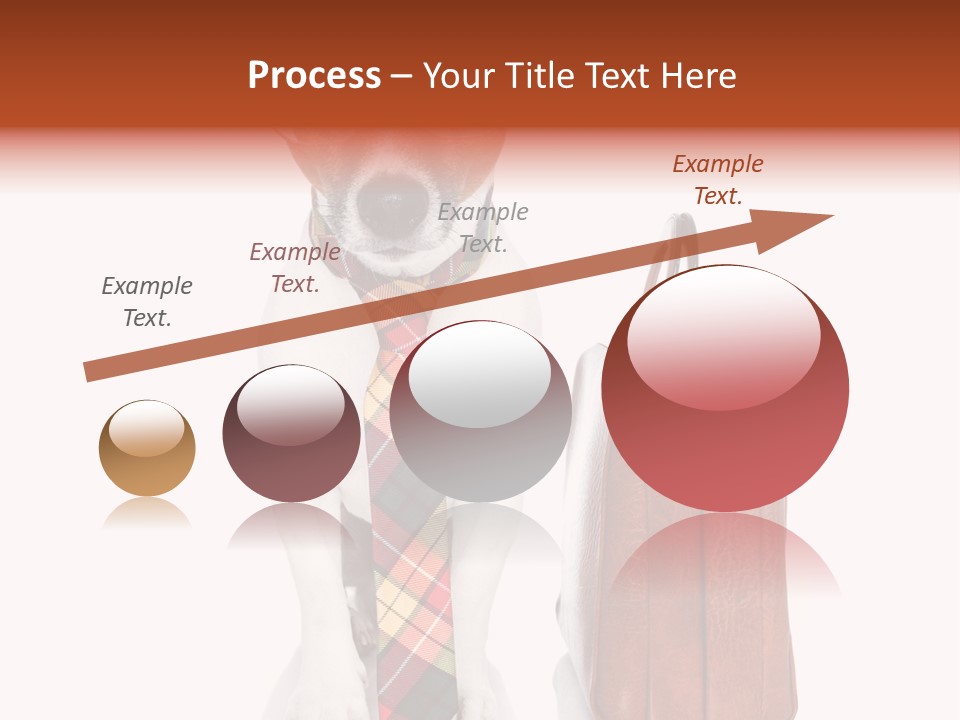 Professional Spectacle Suitcase PowerPoint Template