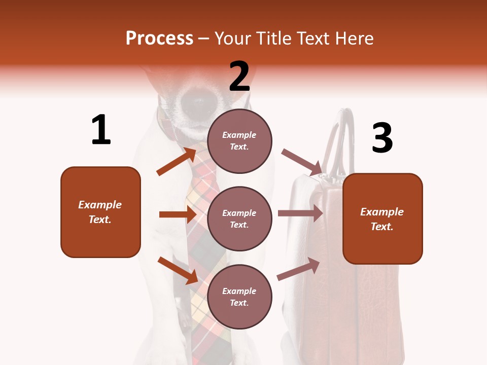Professional Spectacle Suitcase PowerPoint Template