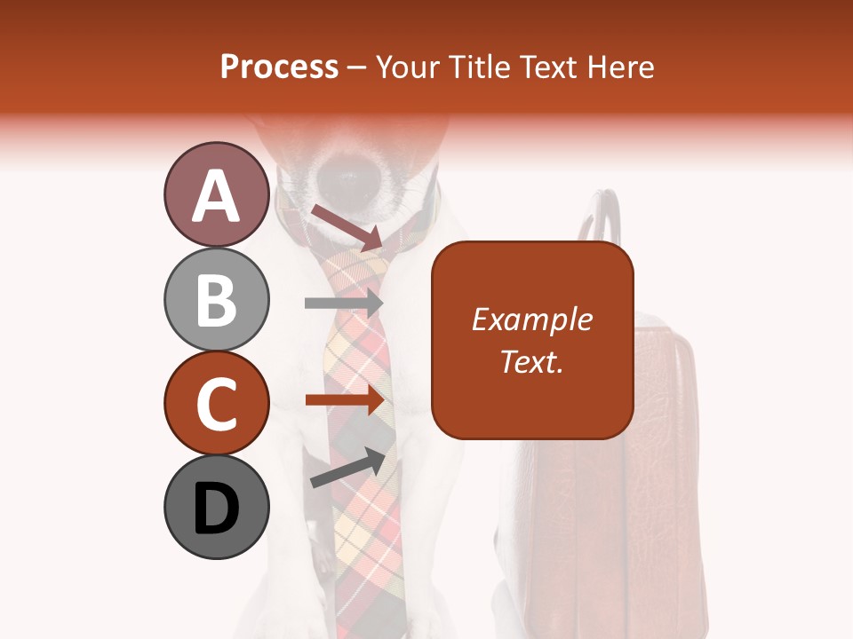 Professional Spectacle Suitcase PowerPoint Template