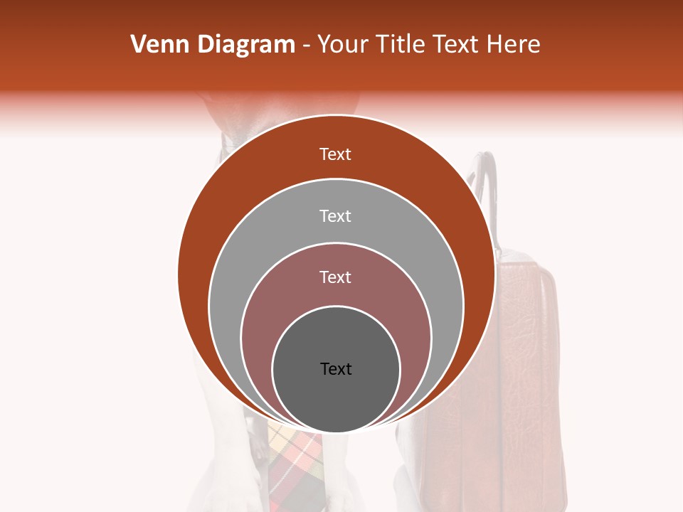 Professional Spectacle Suitcase PowerPoint Template